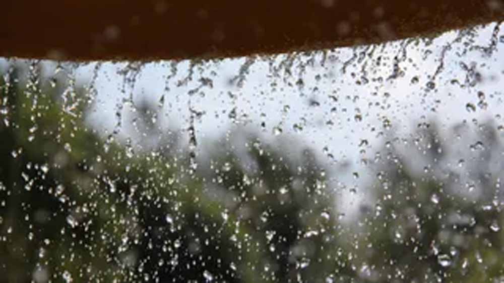 हरियाणा के कई जिलों में होगी तेज बारिश